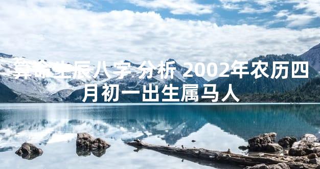 算命生辰八字 分析 2002年农历四月初一出生属马人